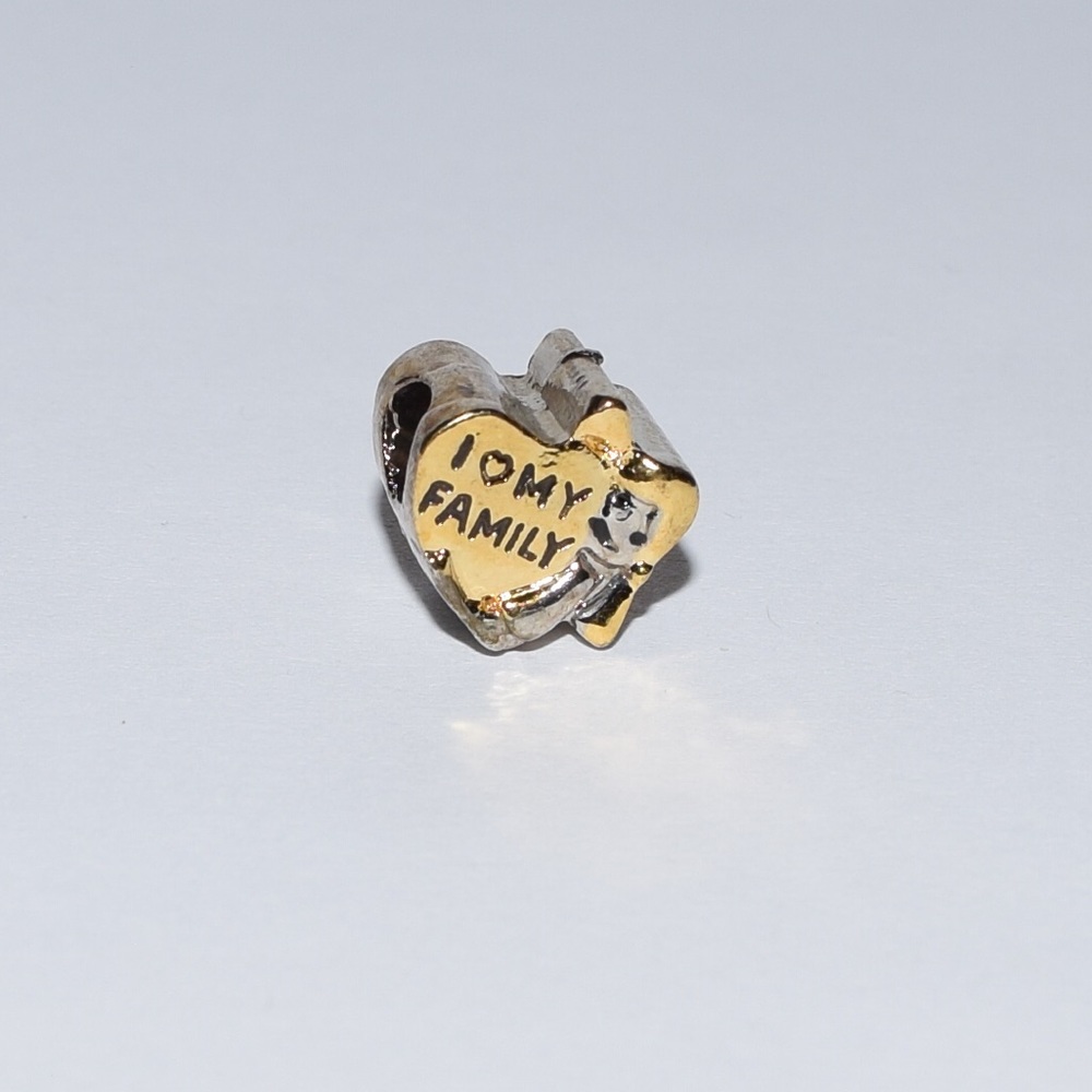 Bracelet Charm I Love My Family